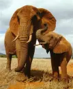 me and my mom