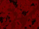 Red bg
