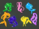 mermaid melody