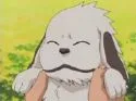 Akamaru