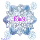 CINDI