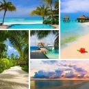 Background-Summer Robbie