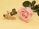 Pink Rose