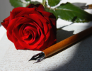 Red Rose