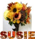 susie