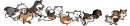 Who let the Dogs out ? 