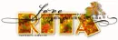 Love Autumn Rita