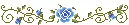 blue roses