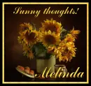 Sunny thoughts - Sunflowers - Melinda