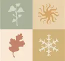 All season - background - bg