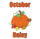October Pumpkin - Daisy