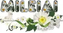 Glitter Text-First names-Mileidi