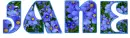 First Names-Personal JANE