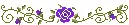 purple rose