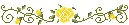 yellow rose