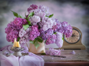 Lilac Still life