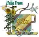 Fall coffee - Rita