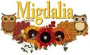 Sweet Owls - Migdalia