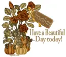 Pretty pumpkins - Sweetlynn
