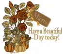 Pretty pumpkins  - Mietta