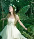 Fairy Princess