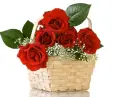 Basket of Roses