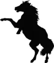black glitter horse