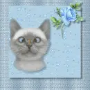 bug on nose kitty