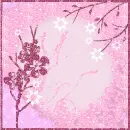 Pink - background