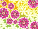 Flowers background