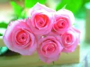 Roses of Love