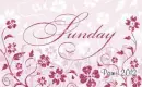 Sunday -days - fg