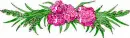 Pink flower - div