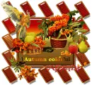 Clipart