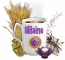 Purple Coffee - Milaine