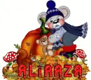 aliraza