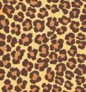 TheLionSleepsTonightChocolate
