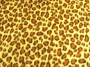 CoolCatGoldenYellow
