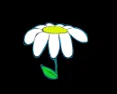Daisy
