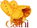 Cathi