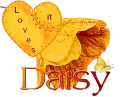 Daisy