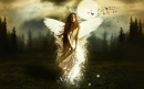 Fantasy Girl