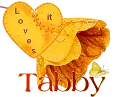 Tabby