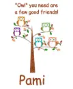 Owl you need - Pami
