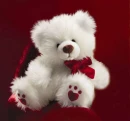 teddy bear