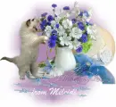 Glitter Graphics