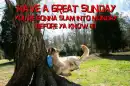 Have A Great Sunday