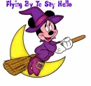 Flying by to say hello
