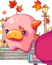 pig