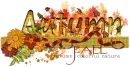 Autumn fall colorful nature